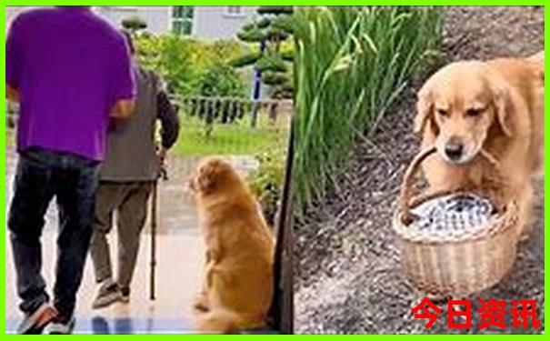 金州景点排名一览表